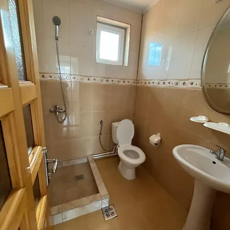 Selin Holiday home Schitu